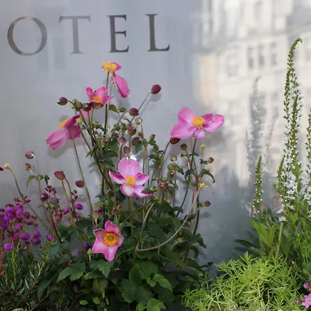 Hanseat-hotel 4*