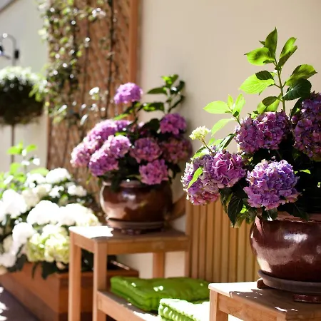 Hanseat-hotel Düsseldorf