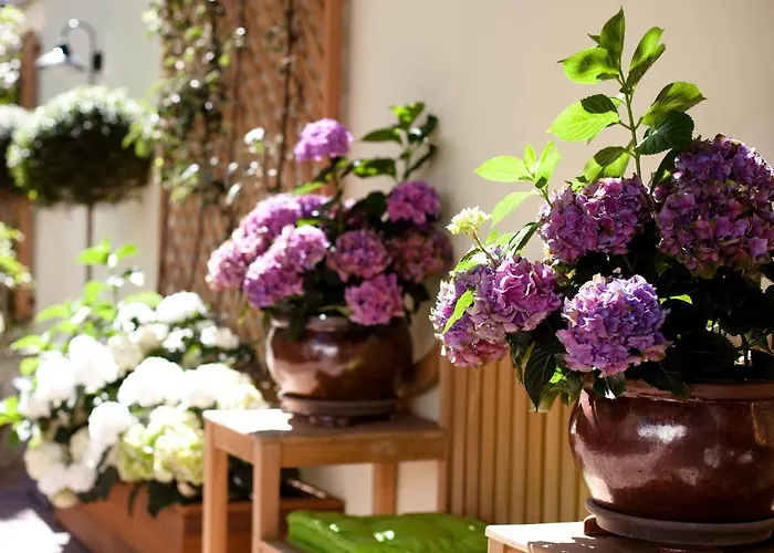 汉萨同盟酒店 杜塞尔多夫